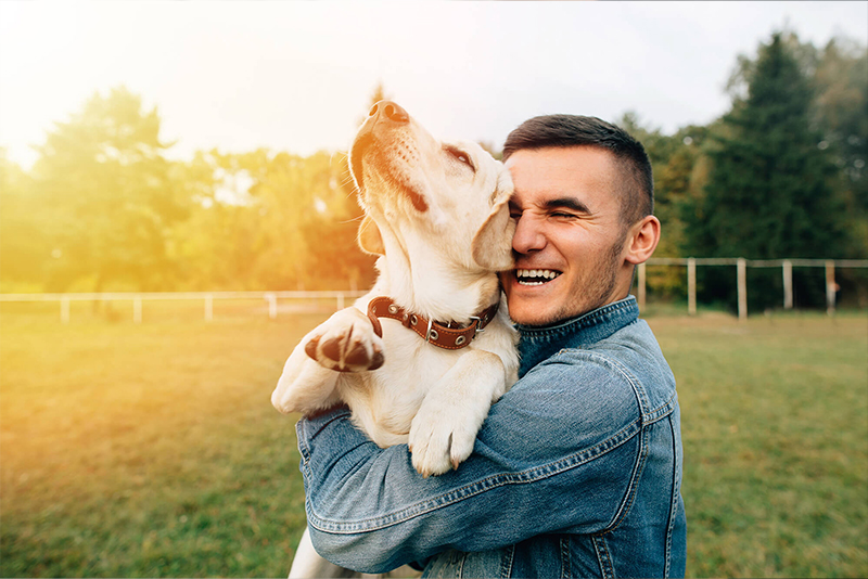 The Benefits of Owning a Dog: More Than Just a Furry Friend